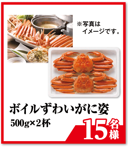 ボイルずわいがに姿 500g×2杯【15名様】※写真はイメージです。